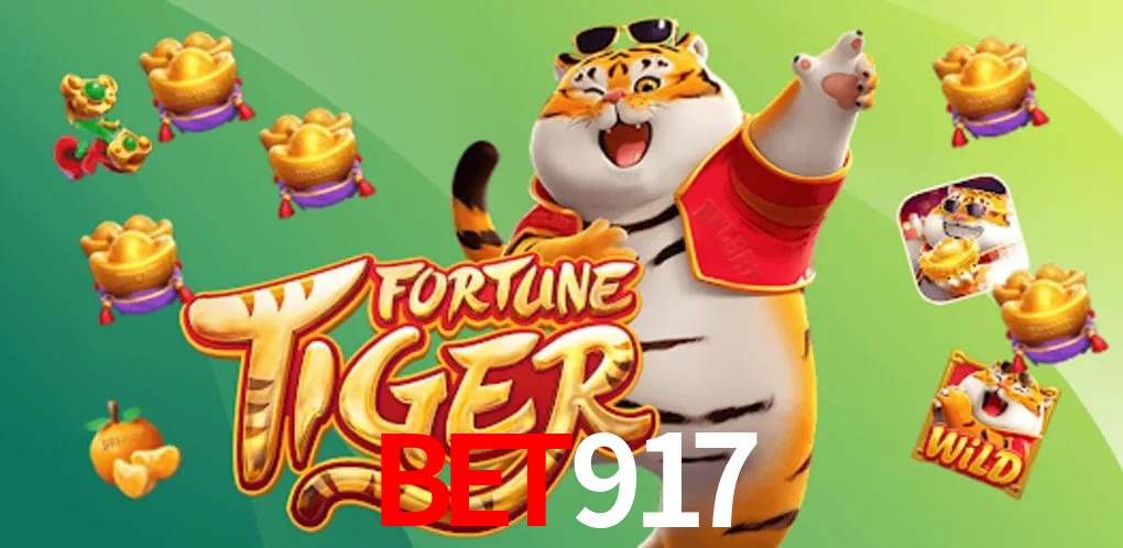 Experiência VIP bet917